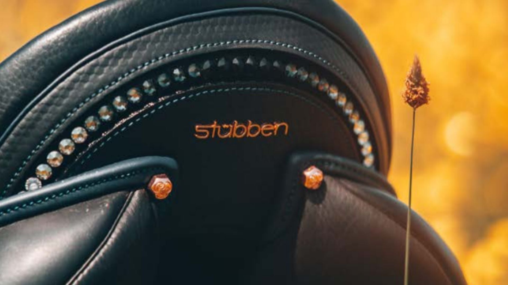 Stübben