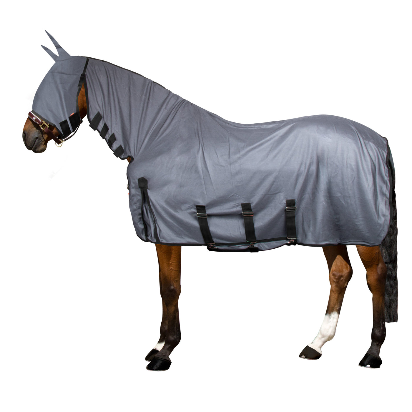 Imperial Riding Fly Blanket IRH carly