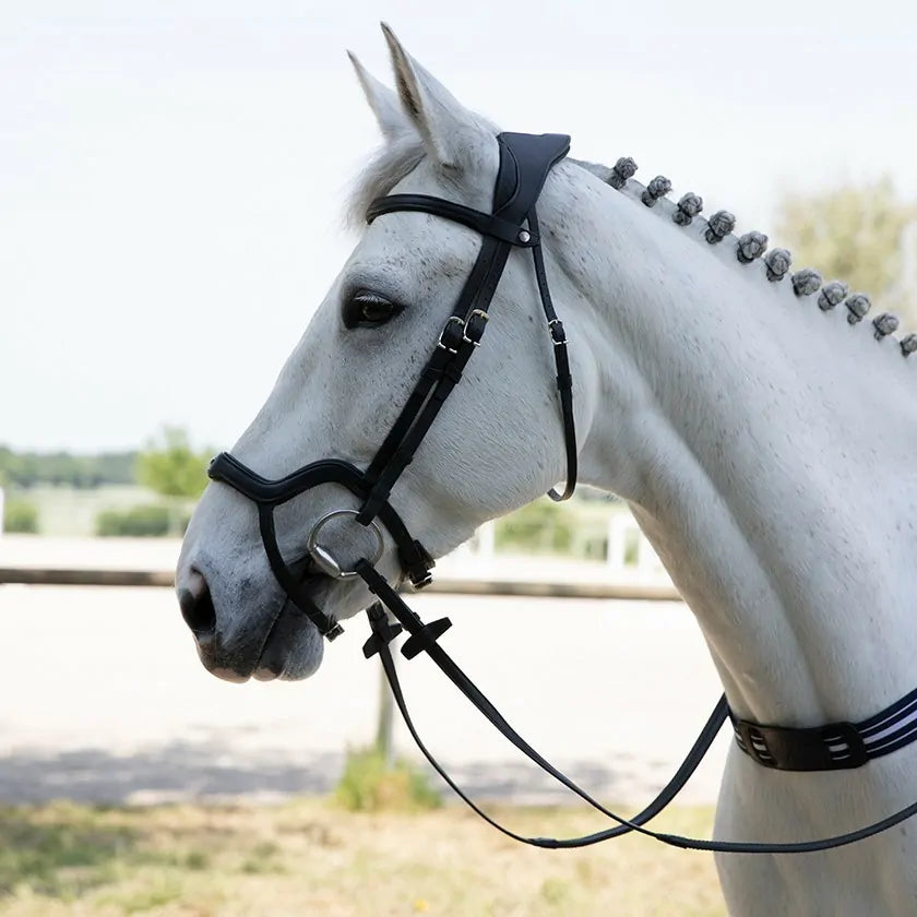 Optimer din hests komfort med Antares - Precision Y noseband anatomic, designet til præcision og optimal pasform.
