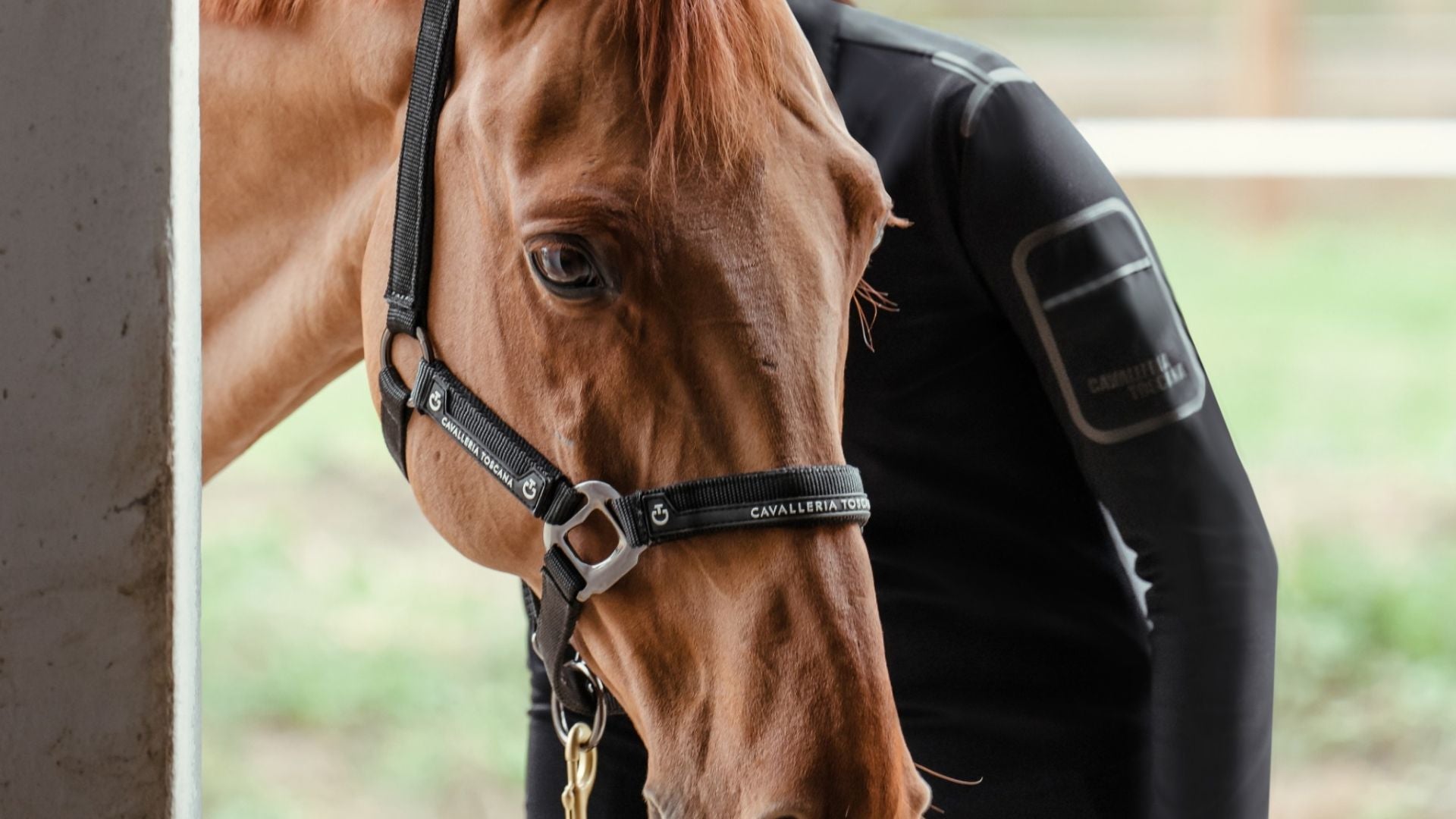 Cavalleria Toscana ridetøj og rideudstyr