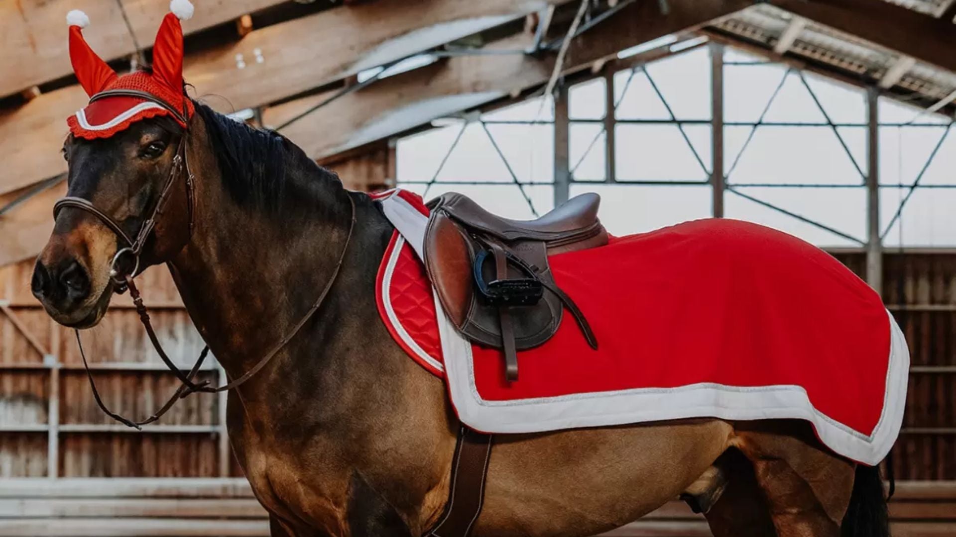 køb jule rideudstyr til hest og rytter med julemotiv og julefarver. jule sadelunderlag hutter nissehue til ridehjelm til jul shop online hos stenholtgaard rideudstyr