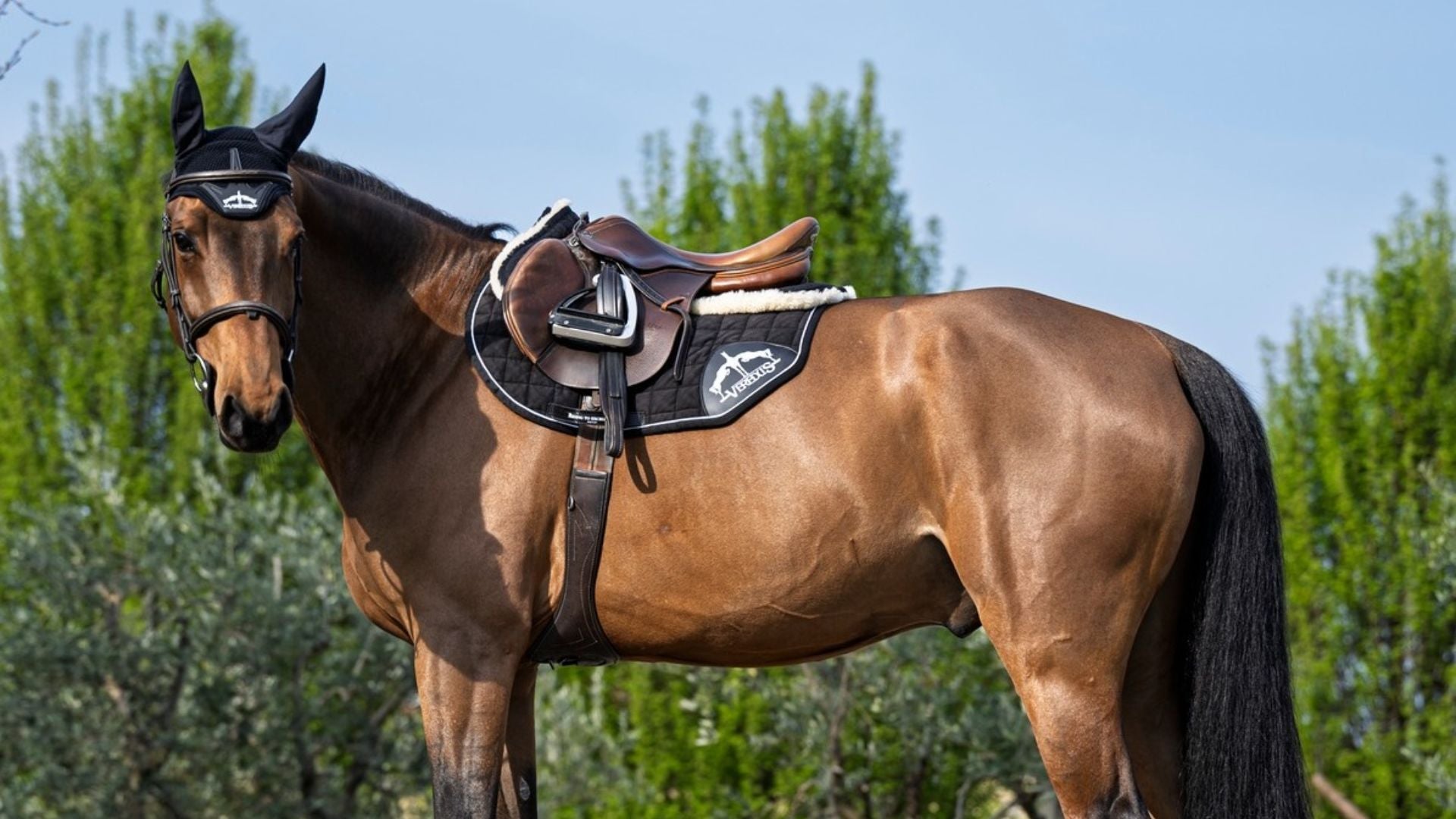 shop veredus gamacher, benbeskyttelse og hestepleje