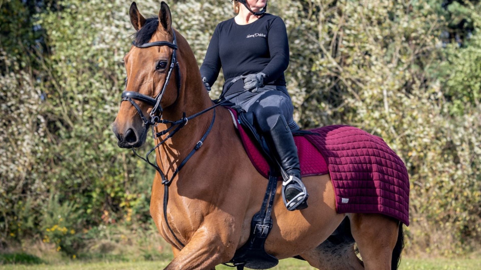 thermatex udstyr til hest shop online hos stenholtgaard rideudstyr