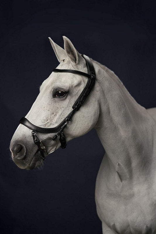 presteq, trense faysport 