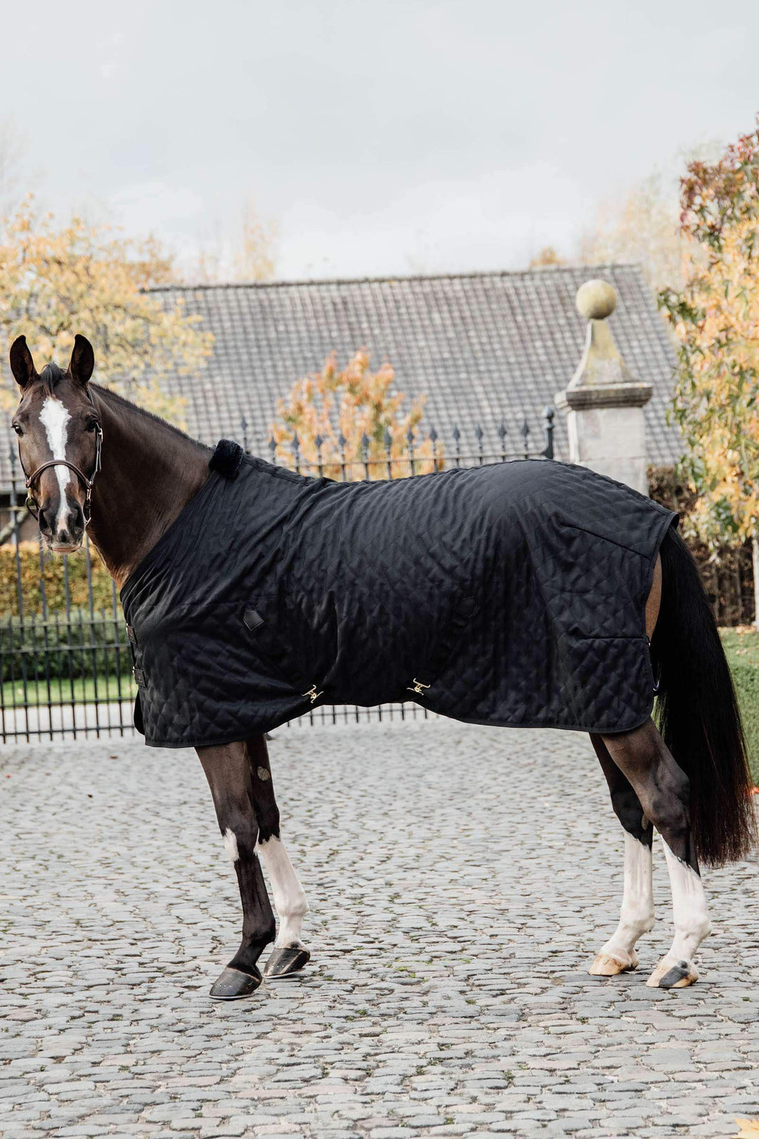 Kentucky Stable Rug 0g