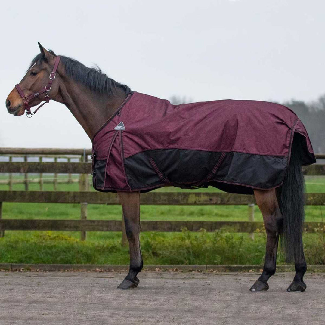 QHP Turnout Rug 150g