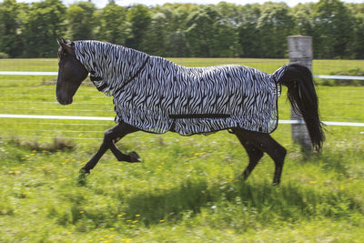 Fluedækken Zebra