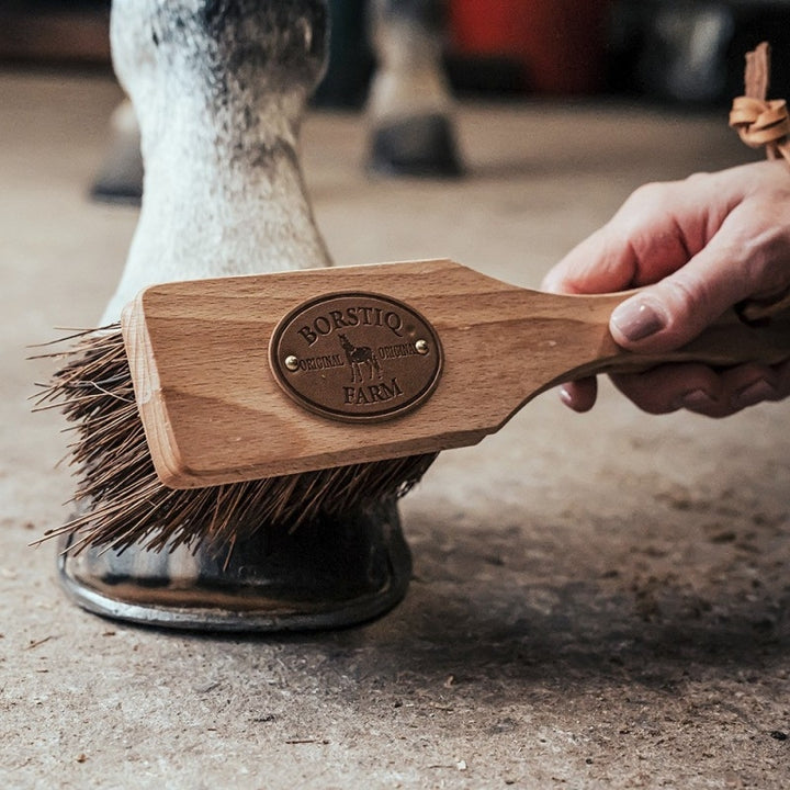 Icelandic hoof brush