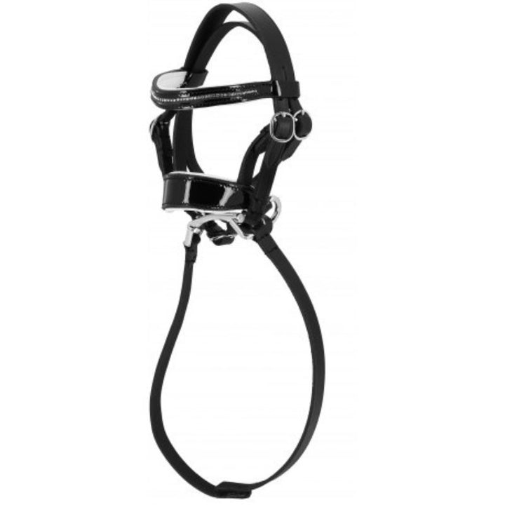 Equithème Pony Academy Dressur Trense - Sort