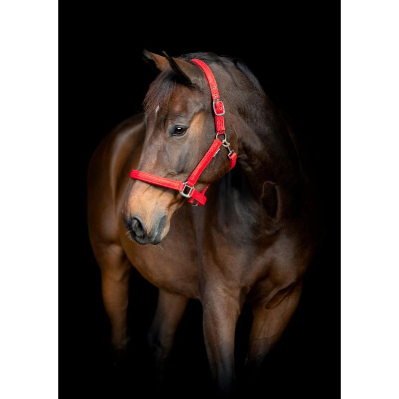 HG Jewel Grime - Rød