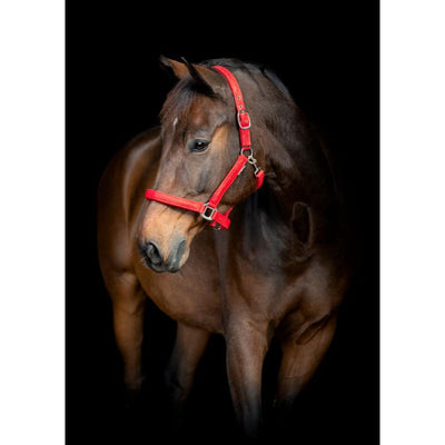 HG Jewel Grime - Rød