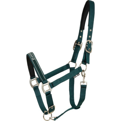 HG Sandra Grime - Ponderosa Pine