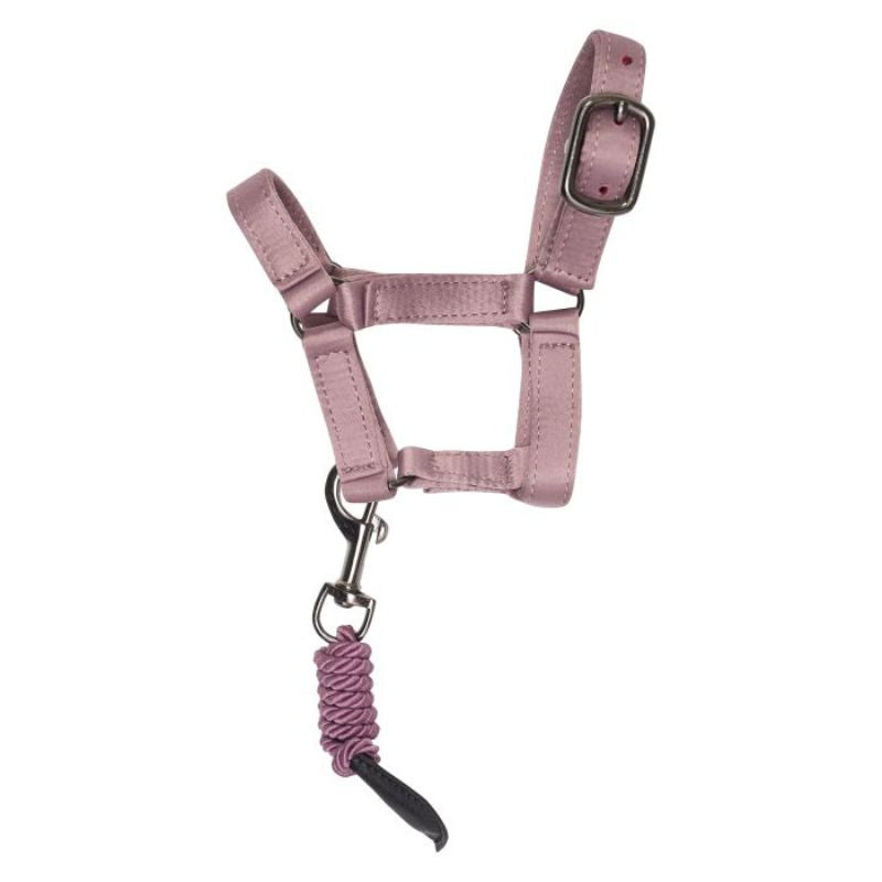 Imperial Stald Sæt Petit - Ballerina