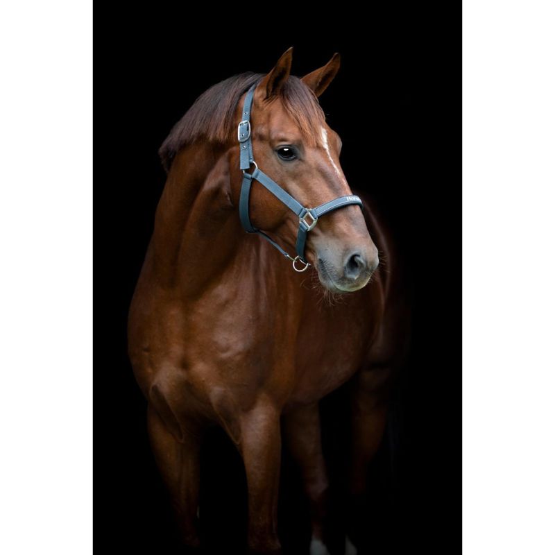 HG Sandra Grime - Grå