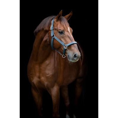 HG Sandra Grime - Grå