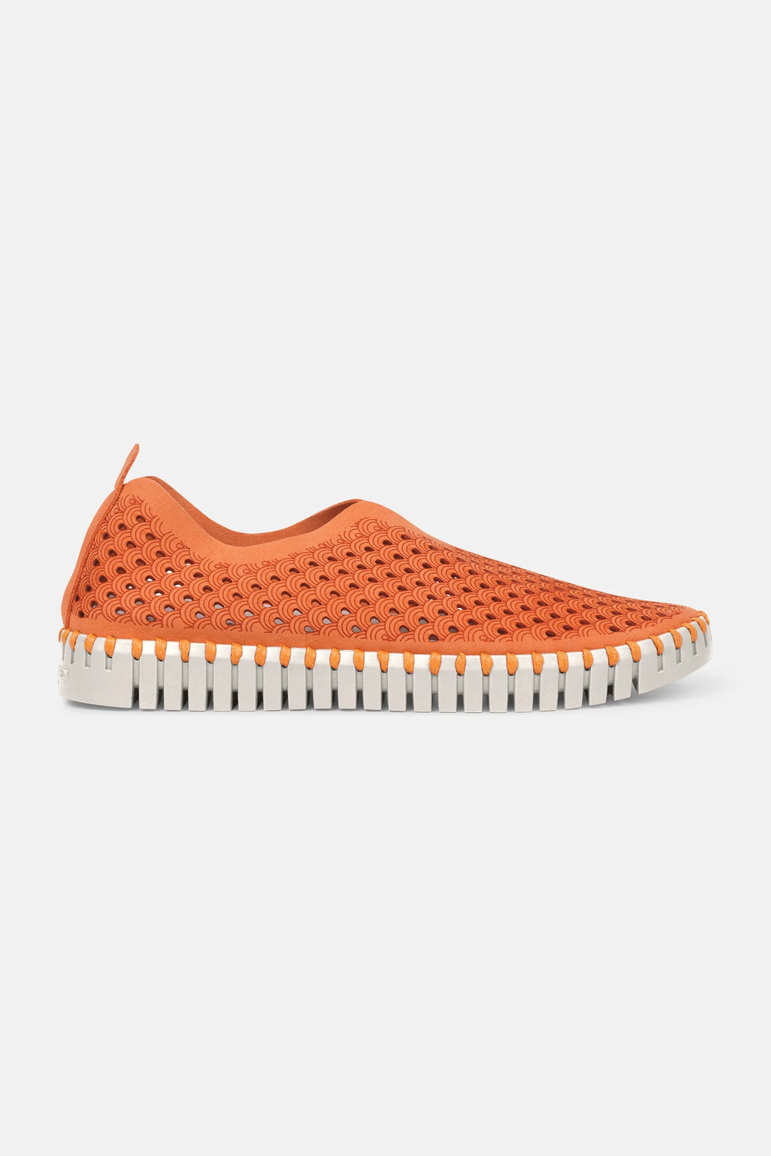 Ilse Jacobsen Tuli Flats - Camelia