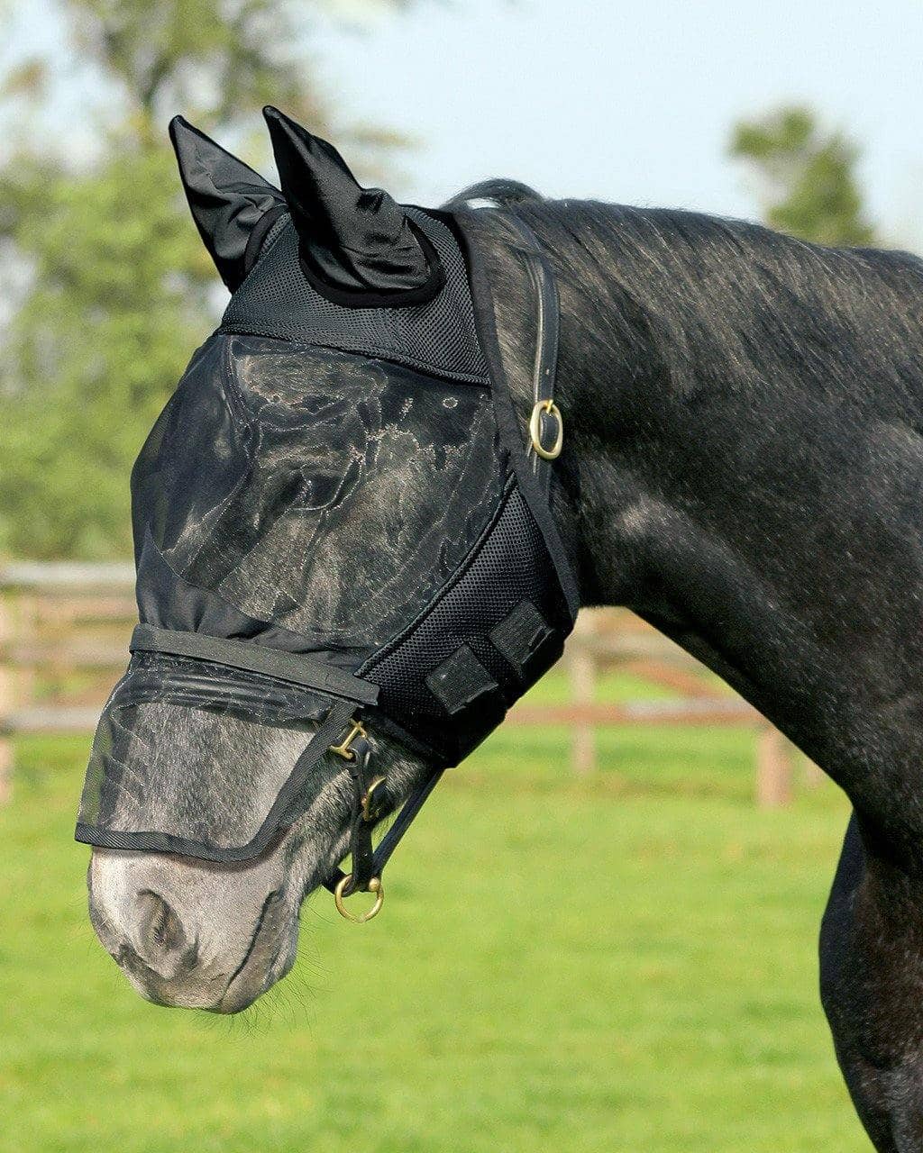 QHP Fluemaske