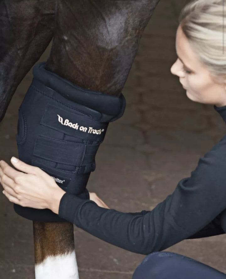 Back On Track Royal Hasebandage