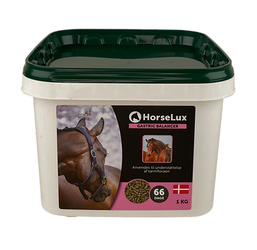 Horselux Gastric Balancer 1 Kg