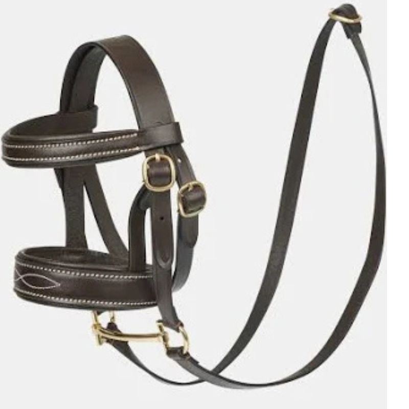 Mini Trense – Equithéme - Pony Academy – Havane Brun