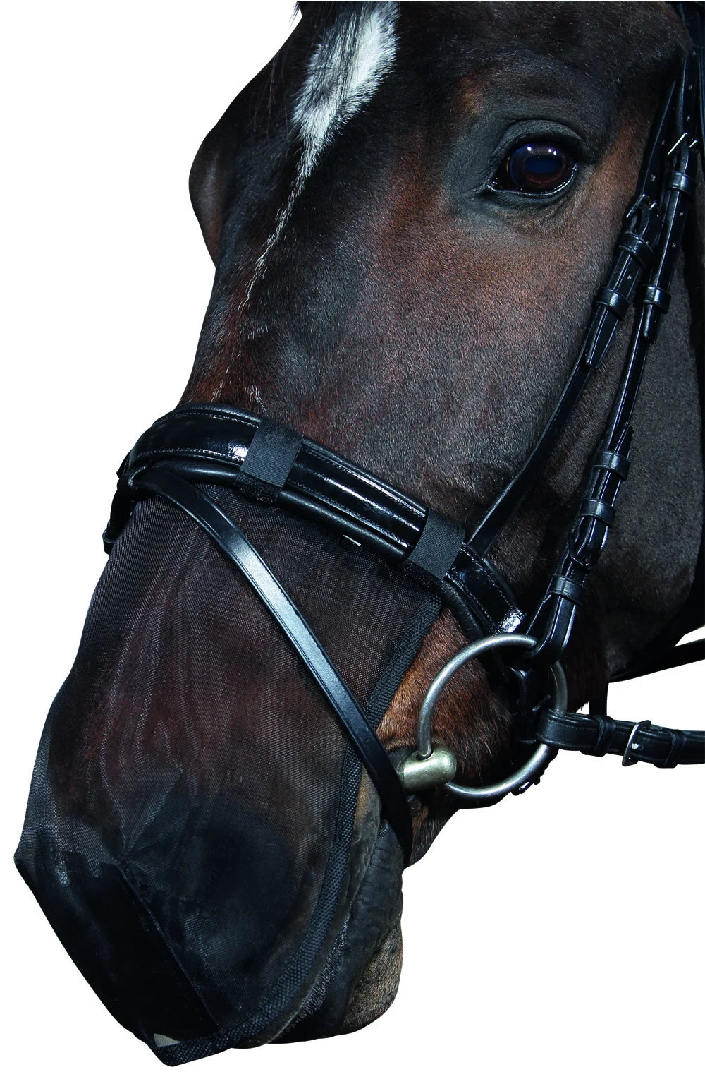 Horse Guard, Mulebeskytter, insektmaske