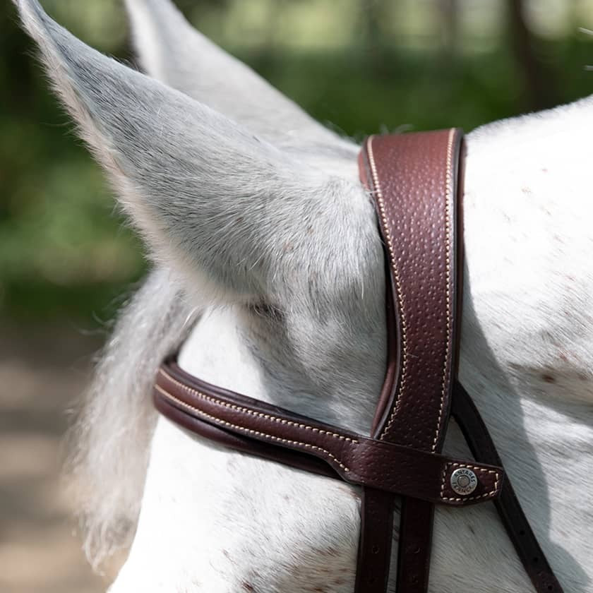 Antares - Origin anatomic flash noseband