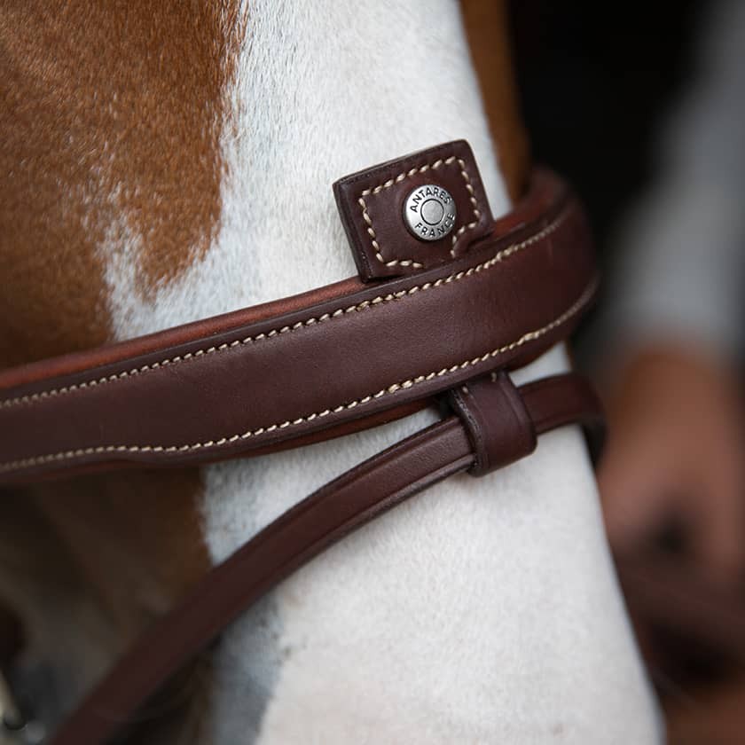 Antares - Origin anatomic flash noseband