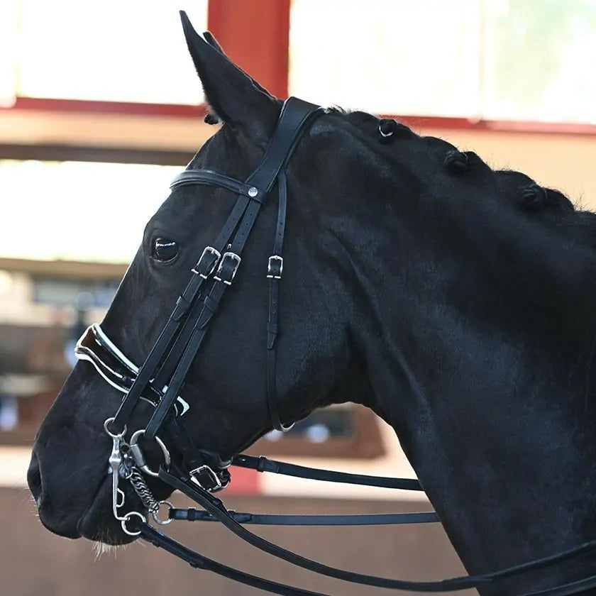 Antares - Origin dressage anatomic double bridle