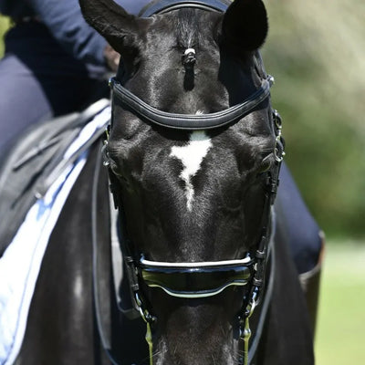 Antares - Origin dressage anatomic double bridle