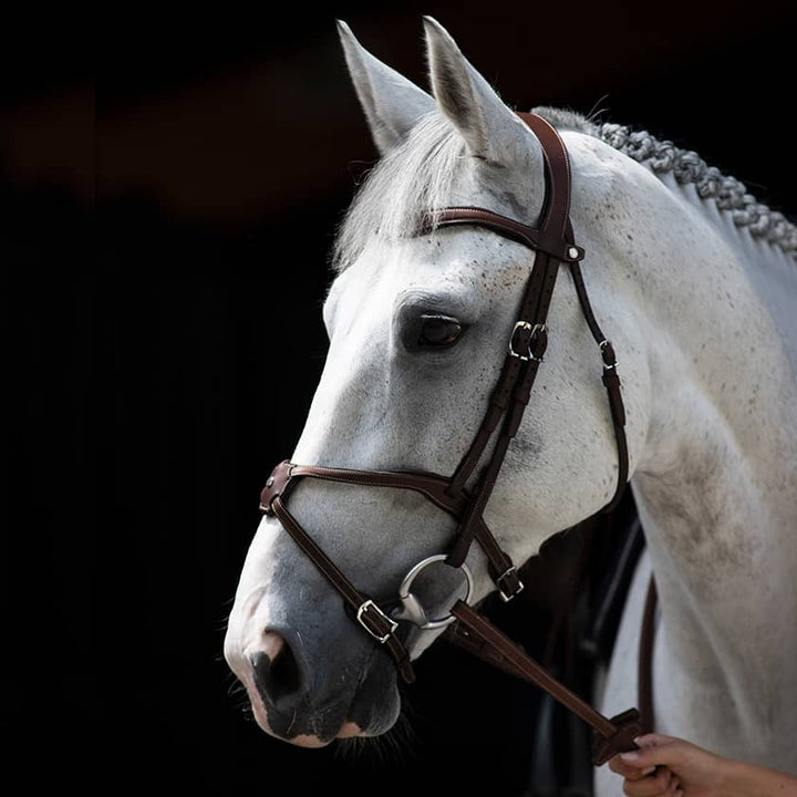 Antares - Origin anatomic figure 8 noseband