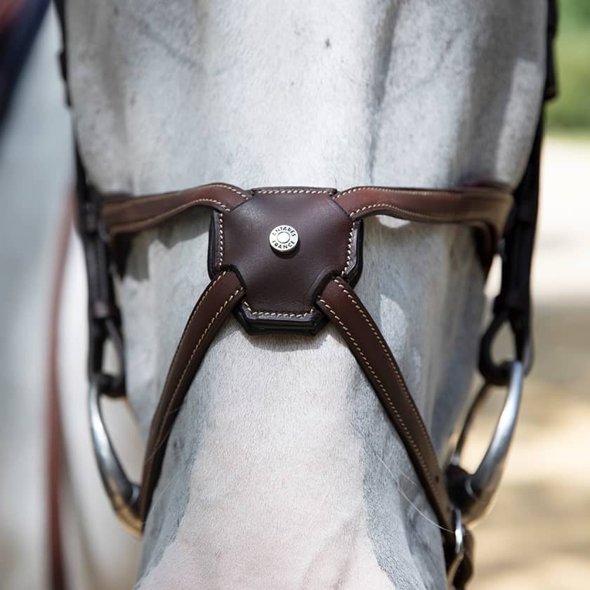 Antares - Origin anatomic figure 8 noseband