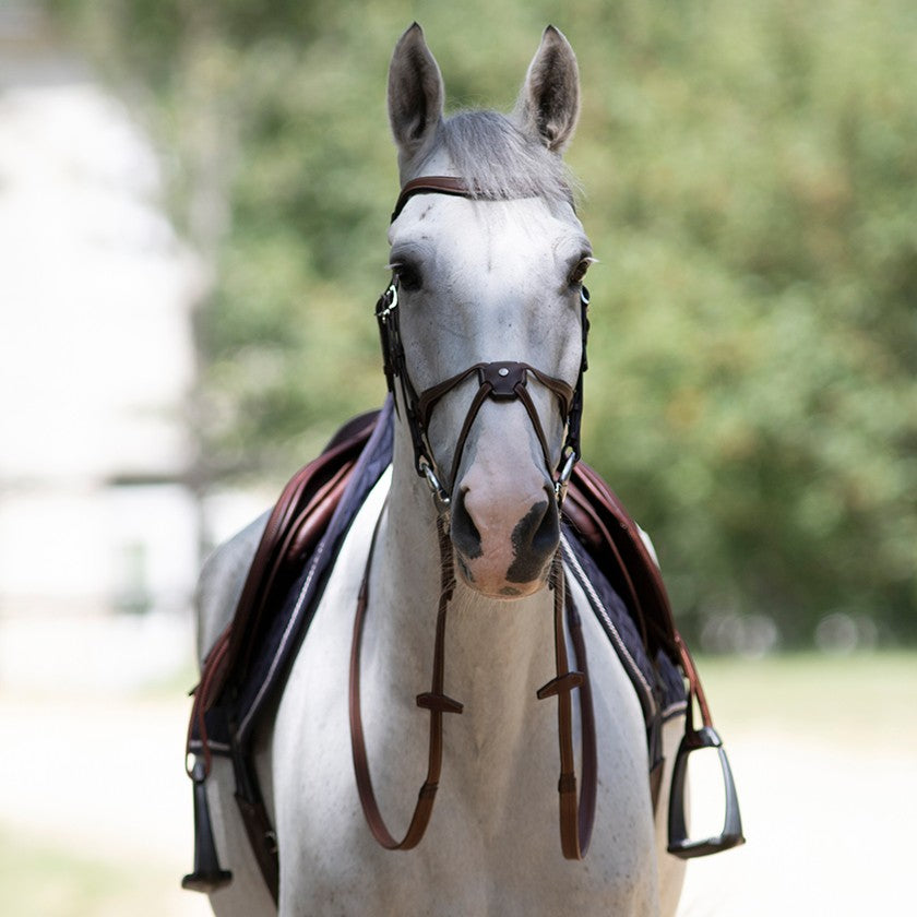 Antares - Origin anatomic figure 8 noseband