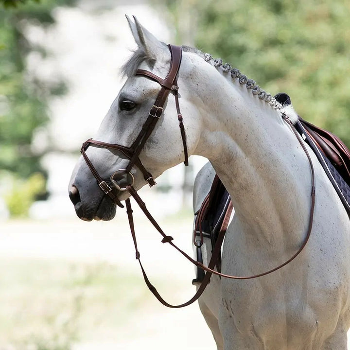 Antares - Origin anatomic figure 8 noseband