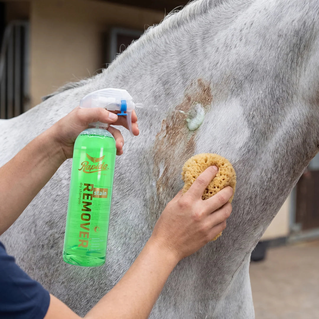 Rapide Stain Remover