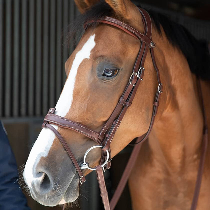 Antares - Origin anatomic flash noseband
