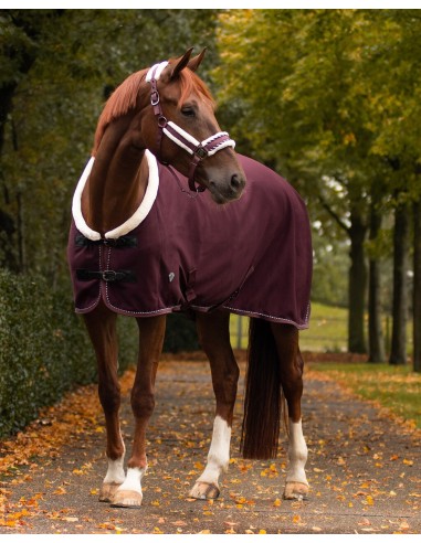 QHP Show Rug Dublin 0g