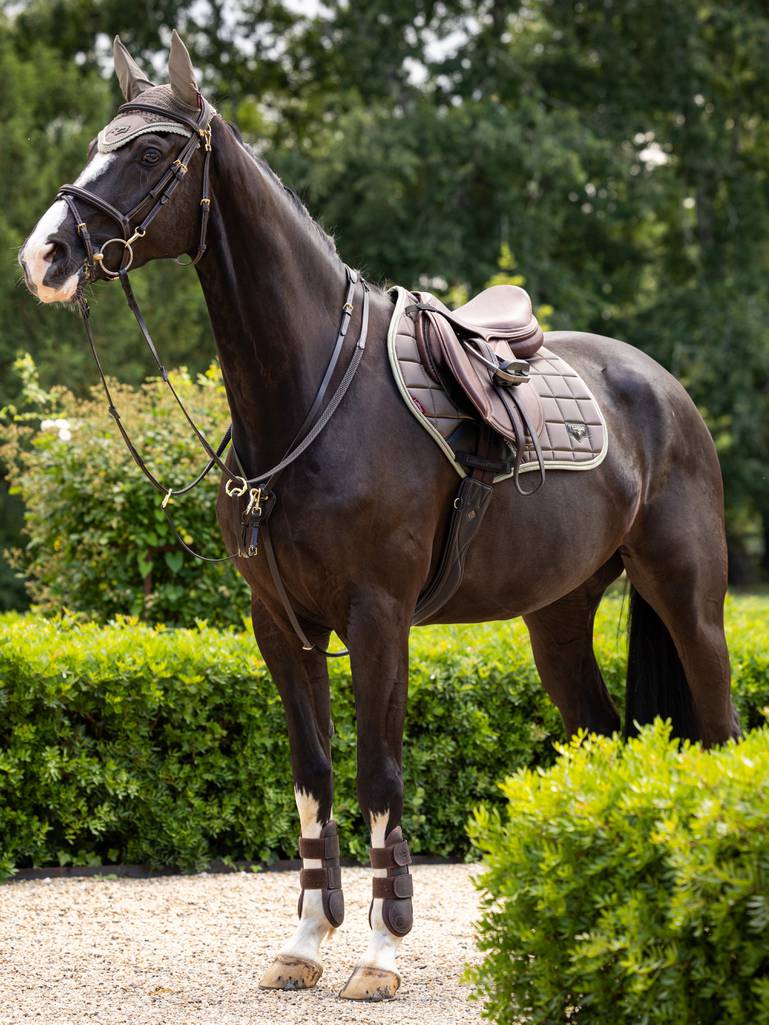 LeMieux Loire Classic Underlag, lemieux underlag, underlag,