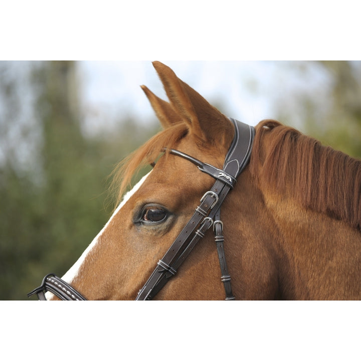Penelope PT Sellier Trense