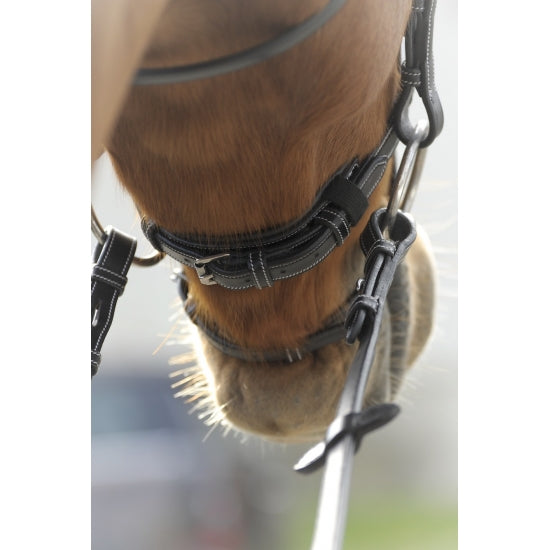 Penelope PT Sellier trense
