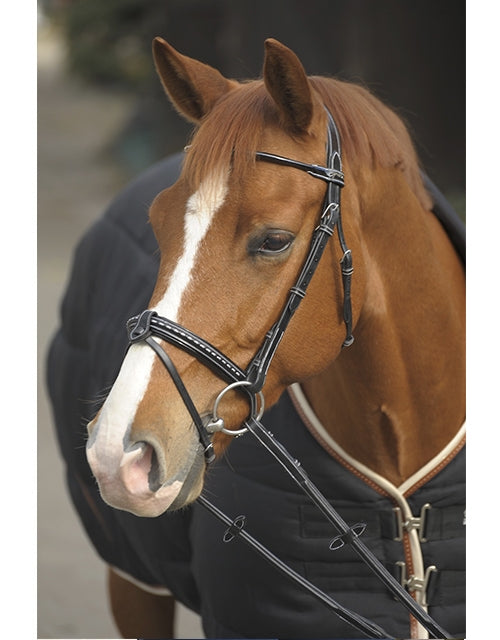 Penelope PT Sellier trense