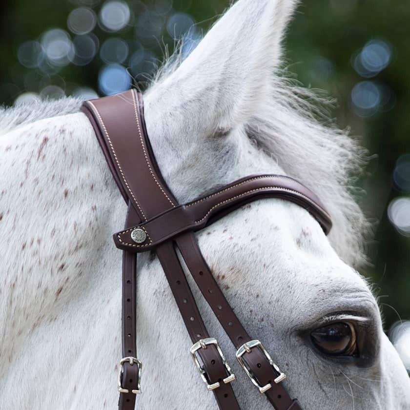 Antares - Origin anatomic drop noseband