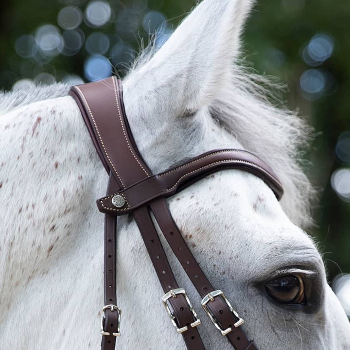Antares - Origin anatomic drop noseband