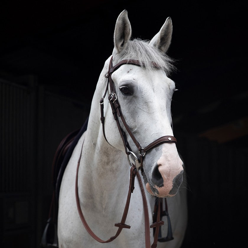 Antares - Origin anatomic drop noseband