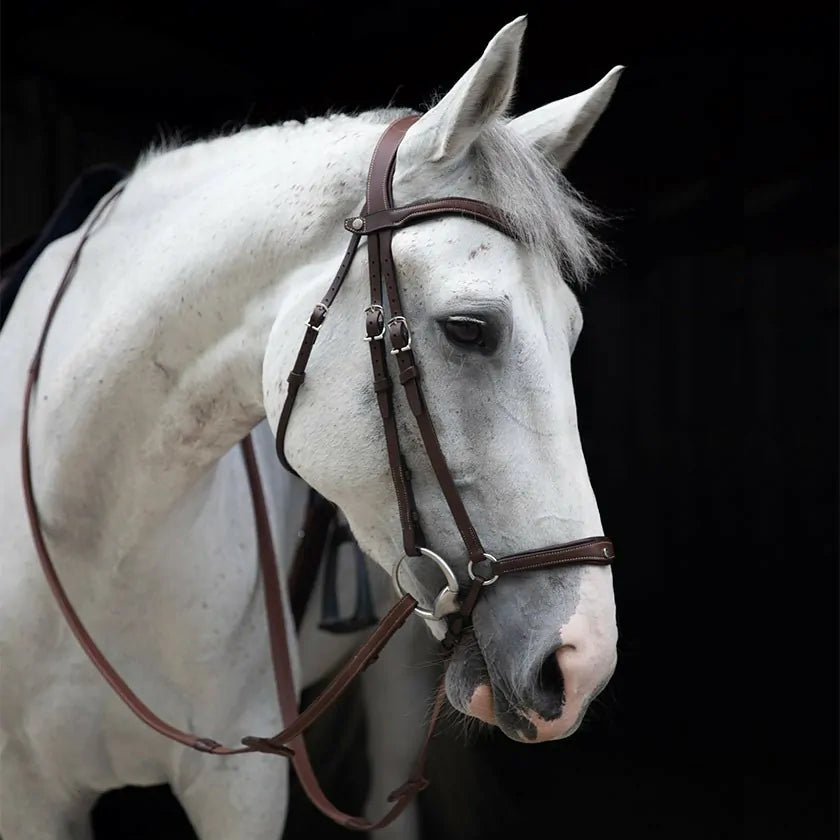 Antares - Origin anatomic drop noseband