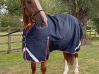 Premier Equine 4 in 1