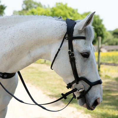 Optimer din hests komfort med Antares - Precision Y noseband anatomic, designet til præcision og optimal pasform.