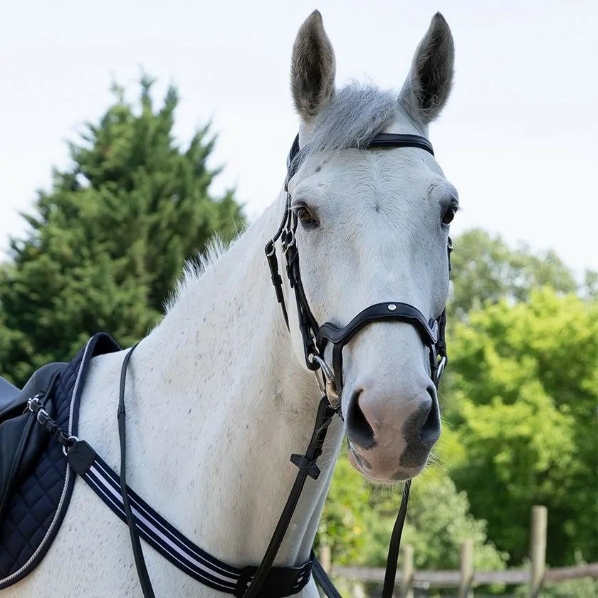 Optimer din hests komfort med Antares - Precision Y noseband anatomic, designet til præcision og optimal pasform.