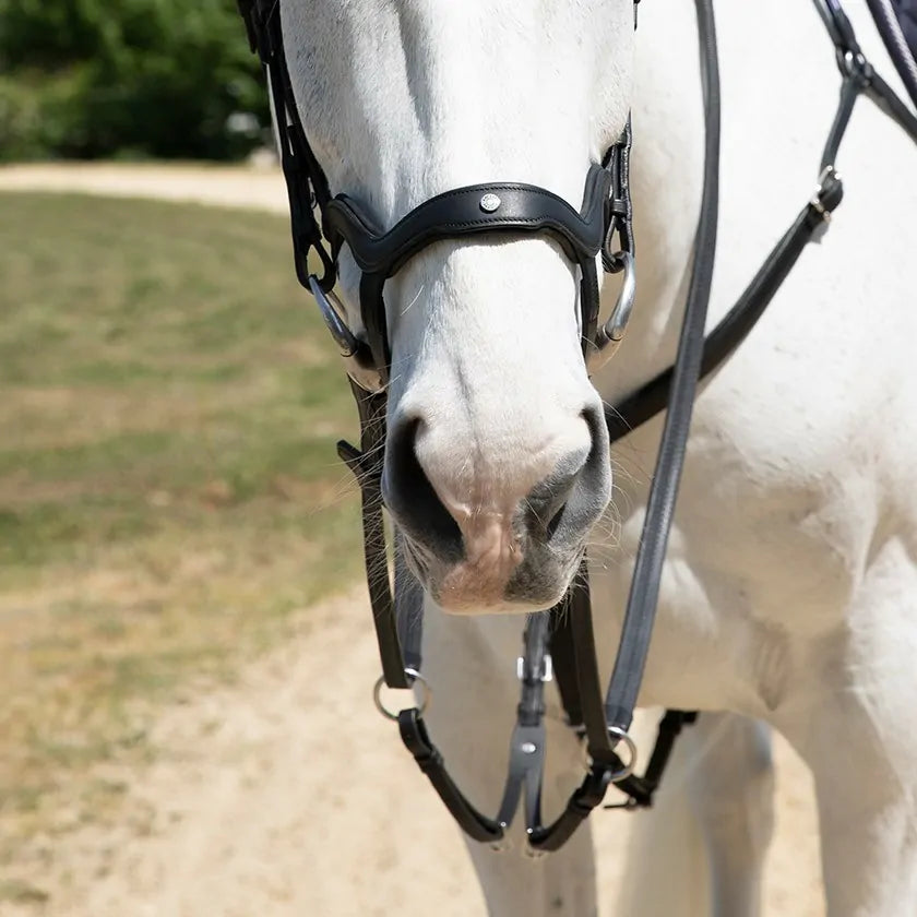 Optimer din hests komfort med Antares - Precision Y noseband anatomic, designet til præcision og optimal pasform.