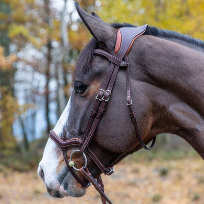 Optimer din hests komfort med Antares - Precision Y noseband anatomic, designet til præcision og optimal pasform.