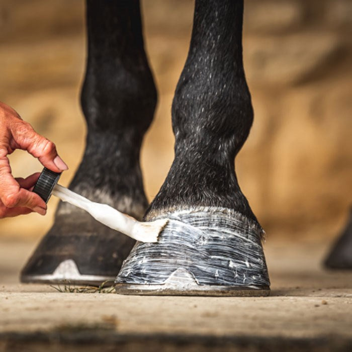 CDM Cornucresine Daily Hoof Moisturer